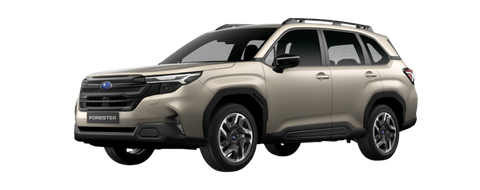 FORESTER ADVANCE