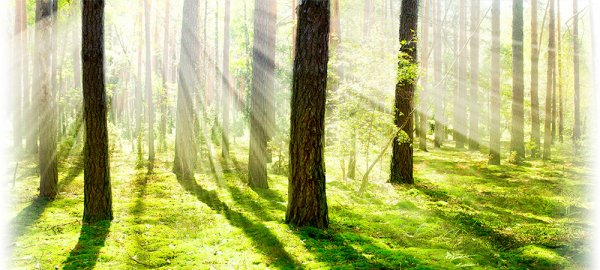 Tecnología Subaru comprometida con el medioambiente