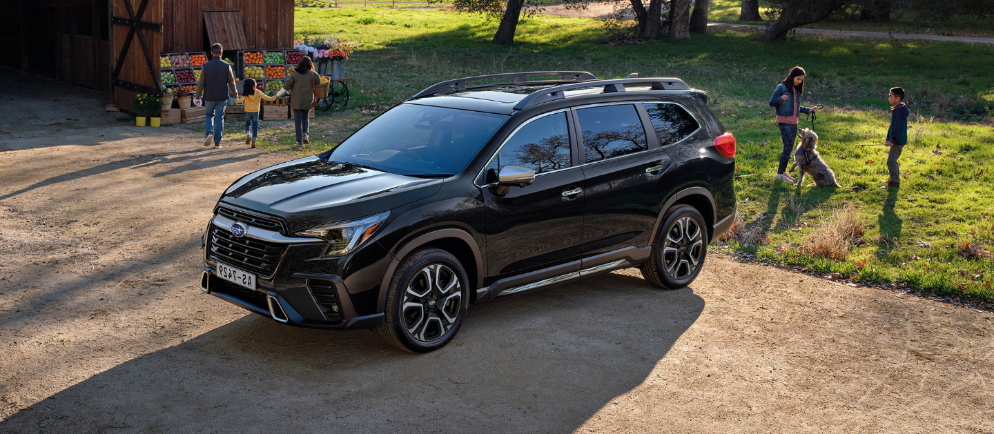 NEW SUBARU EVOLTIS 2023|NEW SUBARU EVOLTIS 2025