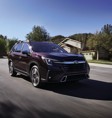 NEW SUBARU EVOLTIS 2023|NEW SUBARU EVOLTIS 2025