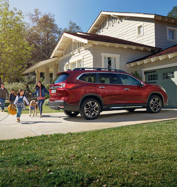 NEW SUBARU EVOLTIS 2023|NEW SUBARU EVOLTIS 2025